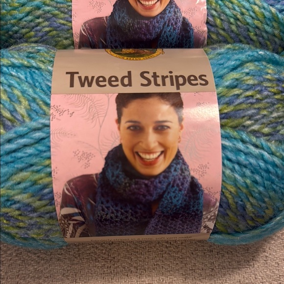 Lion Brand Tweed Stripes Yarn • Lakeside • Lot of 10 - Picture 3 of 8